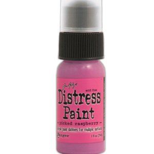 Tim Holtz Distress Paint- Pickled Raspberry